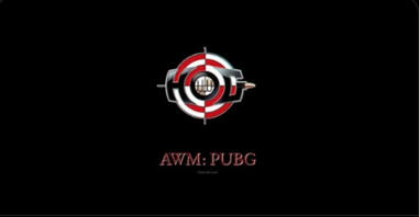 AWM: PUBG
